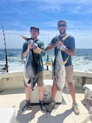 Bluefin Tuna Fishing THREE MILES FROM SHORE! - Fishing Oceanside Harbor in  San Diego 