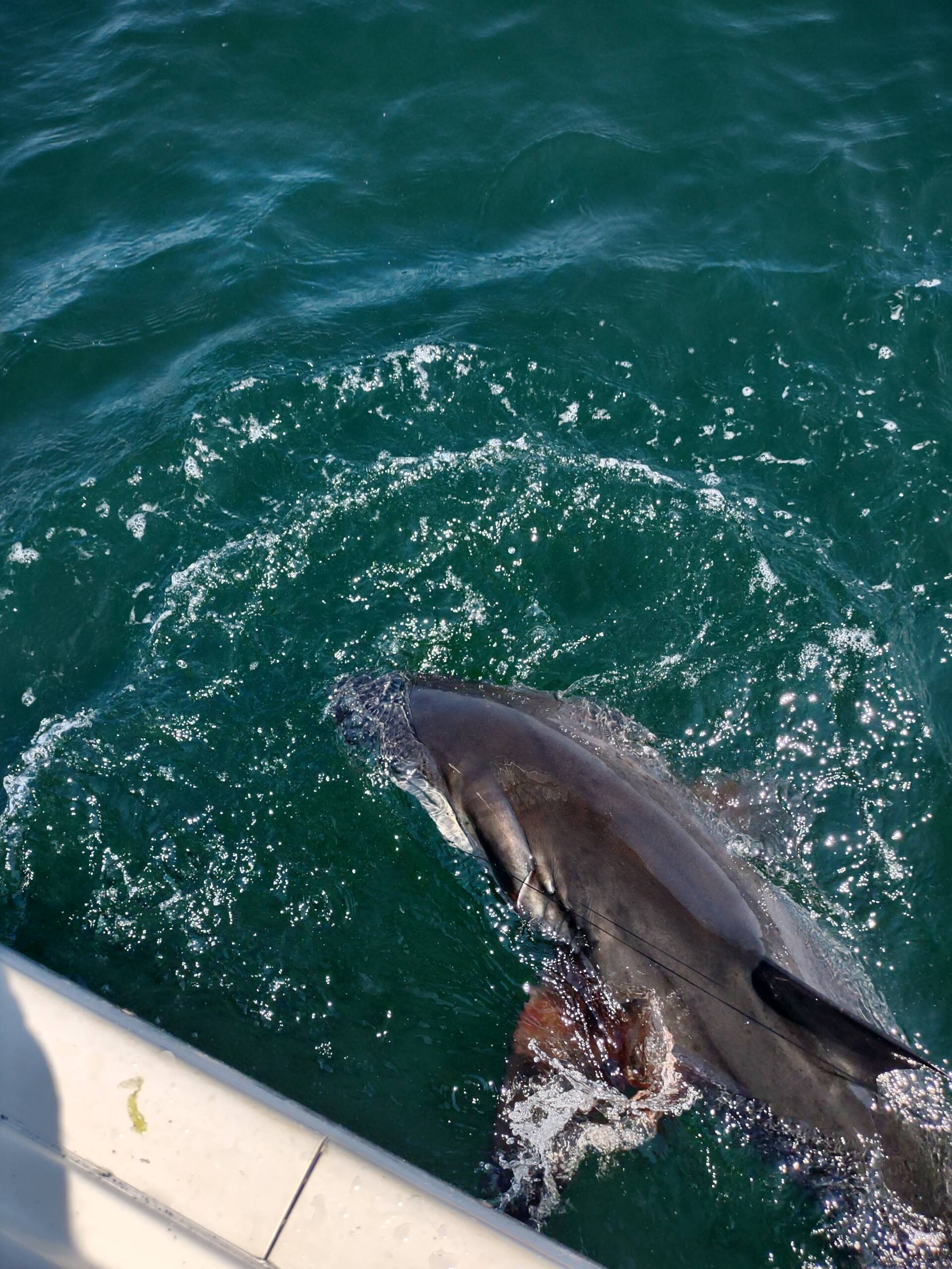IMG_20210724_103928513_HDR