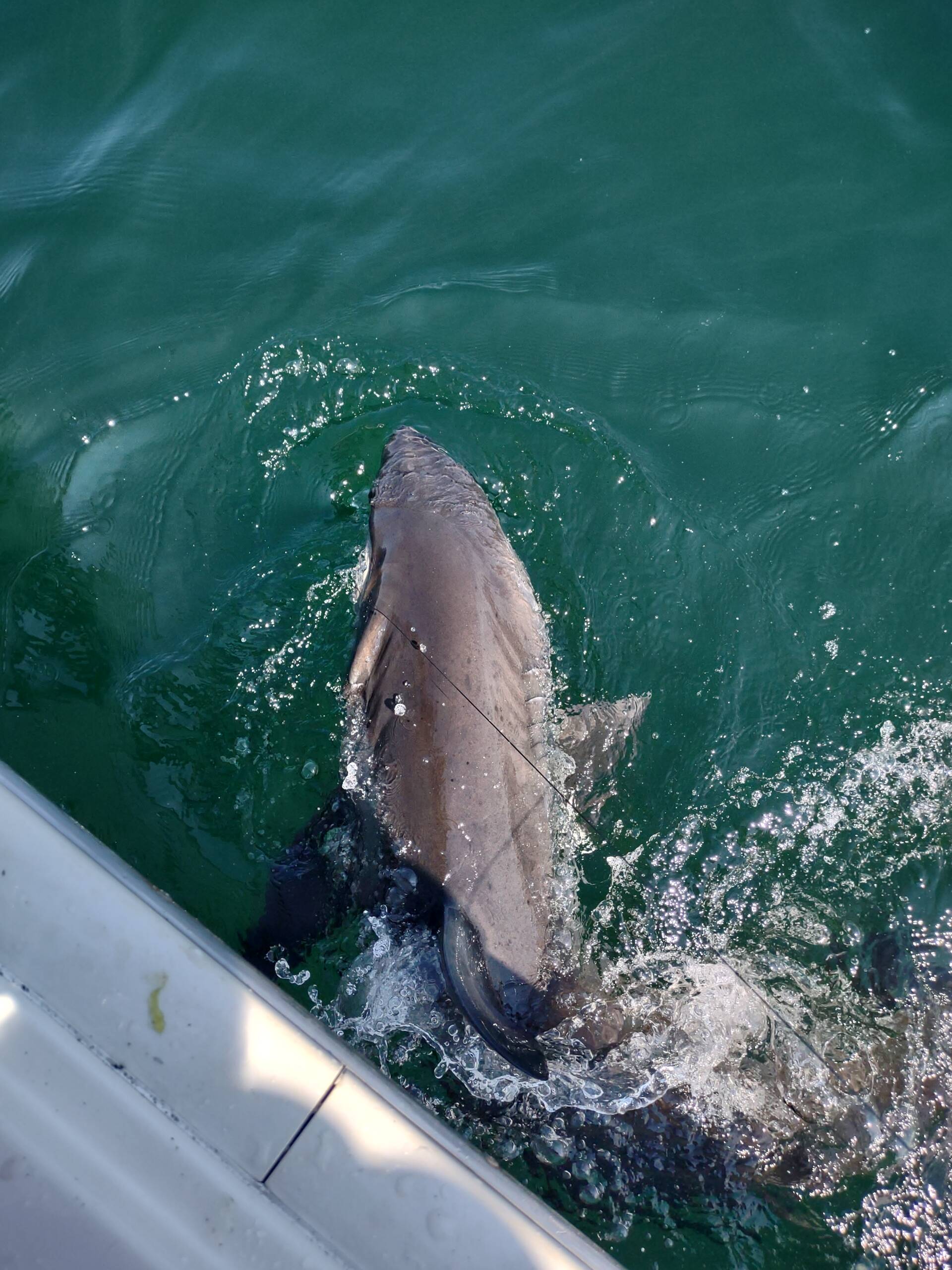 IMG_20210724_103937284_HDR