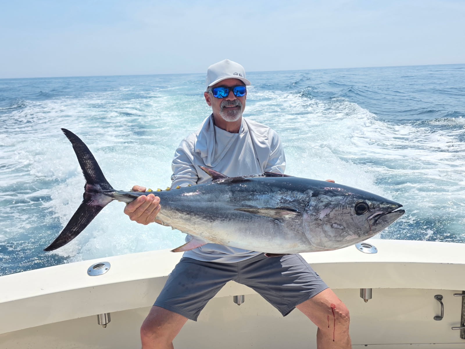 Tuna 2025 - TailWrapped